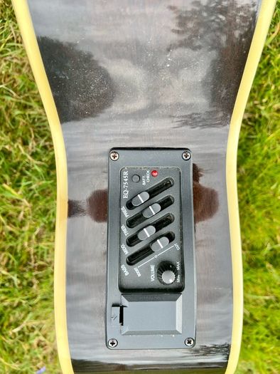 Harley benton guitar