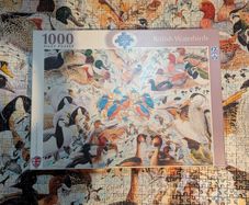 1000 jigsaw puzzle