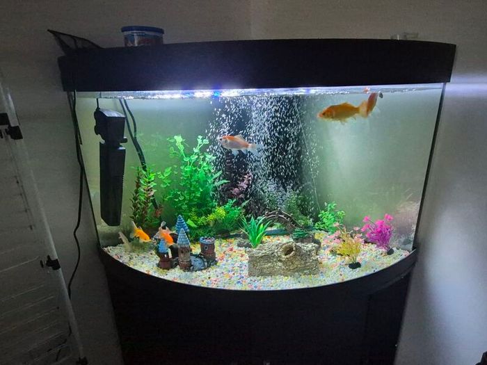 300l corner fish tank
