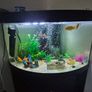 300l corner fish tank Image 3