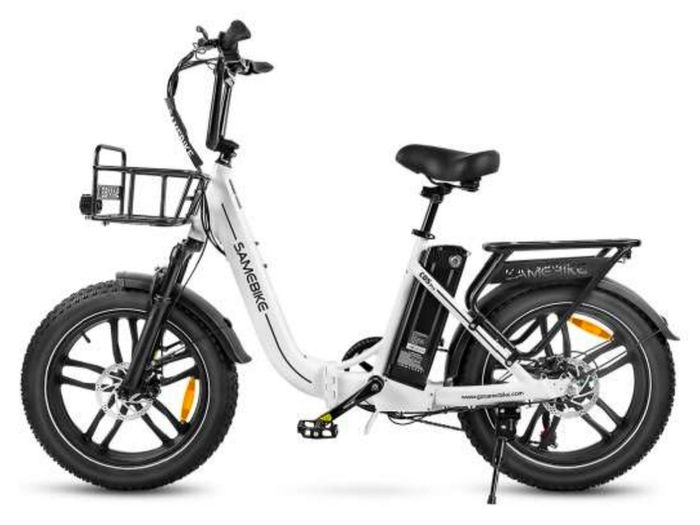 Ebike: Shipped directly to your home.