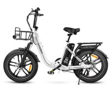 Ebike: Shipped directly to your home.