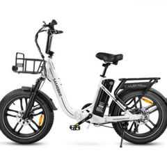 Ebike: Shipped directly to your home.