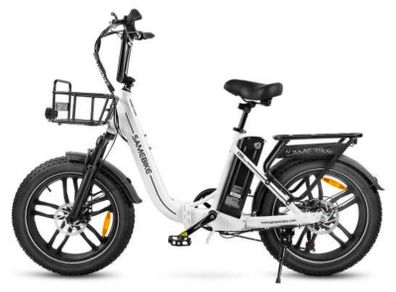 Ebike: Shipped directly to your home.
