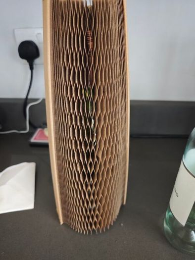 Cardboard bottle protectors