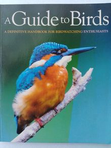 A Guide To Birds