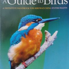 A Guide To Birds