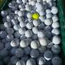 40 Taylormade Golf Balls Image 2