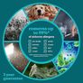 5-in-1 TotalClean Air Purifier, for Bedroom & Home, Quiet HEPA & Carbon Filters, Compact Purifiers with Night Mode, Removes Allergens, Pet Dander, Smoke, Cooking, Mould Spores & Germs, Small Image 2