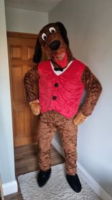 Dog costume Fancy dress