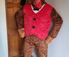 Dog costume Fancy dress