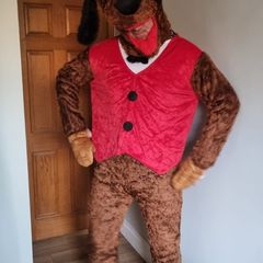 Dog costume Fancy dress