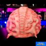 Teenage Mutant Ninja Turtles Krang 1:1 Latex Prop Trick or Treat Studios Image 5