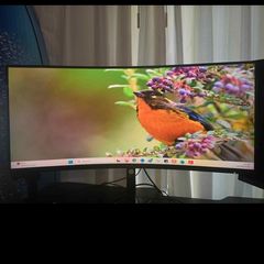 curved monitor