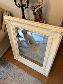Cream Decorative Mirror