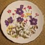 Wildflower Collector's Plates Image 6