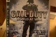 Call of Duty World at WarbPS3
