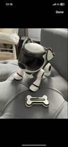 Tekstarobot dog