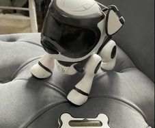 Tekstarobot dog