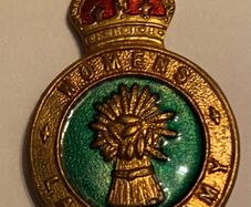 militaria:Original WW2 Womens Land Army Badge