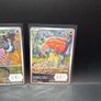 Pokemon Cards Image 3