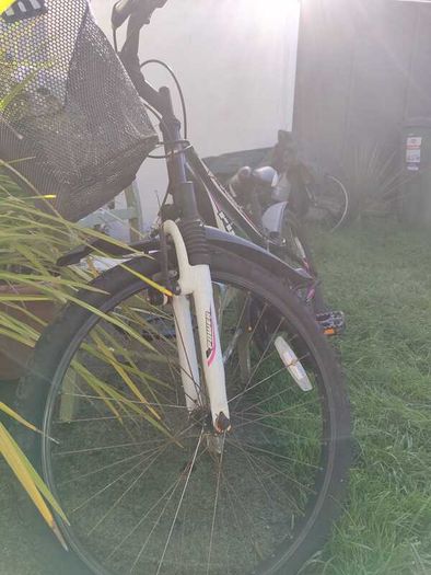 Power Pearl 24 inch girls mountain bike