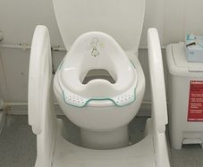 toilet step with rails