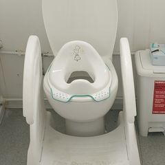toilet step with rails