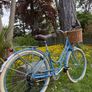 Raleigh Willow Ladies Bike Excellent Condition Size M Image 2