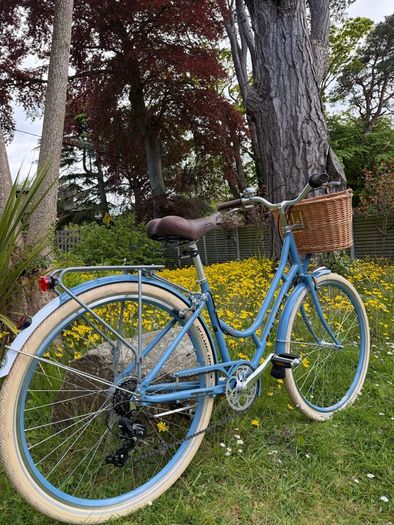 Raleigh Willow Ladies Bike Excellent Condition Size M