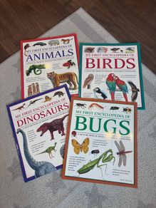 Educational books A3 size