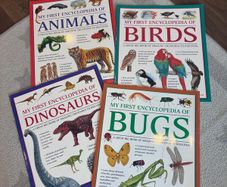 Educational books A3 size