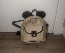mickey mouse bag
