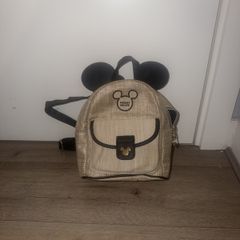mickey mouse bag