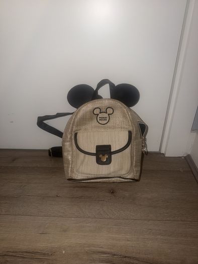 mickey mouse bag