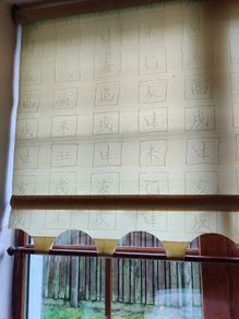 Roller Blinds