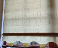 Roller Blinds