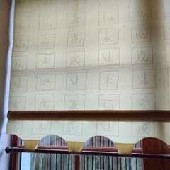Roller Blinds