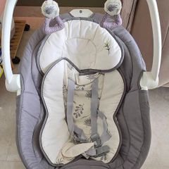 Joie 2-in-1 Baby Swing and Rocker