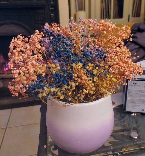Pottery Flower Pot - Dried Flowers included.