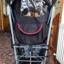 McLaren buggy Image 6