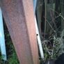 Box Iron Image 3