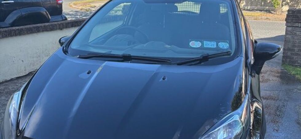 Ford Fiesta Van 2016