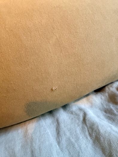 bbhugme Pregnancy Pillow