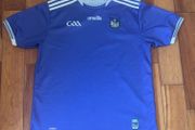 limerick jersey