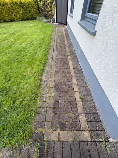 Bricks