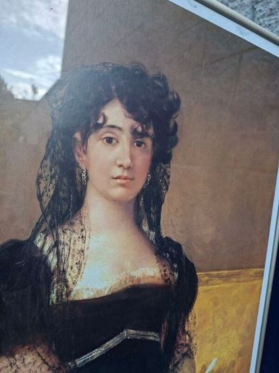 Framed Print by Goya