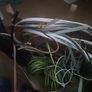 copper wire Image 3