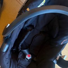 besafe car seat - free