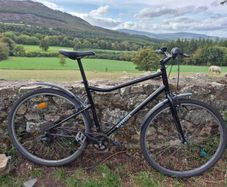 Men's Bicycle